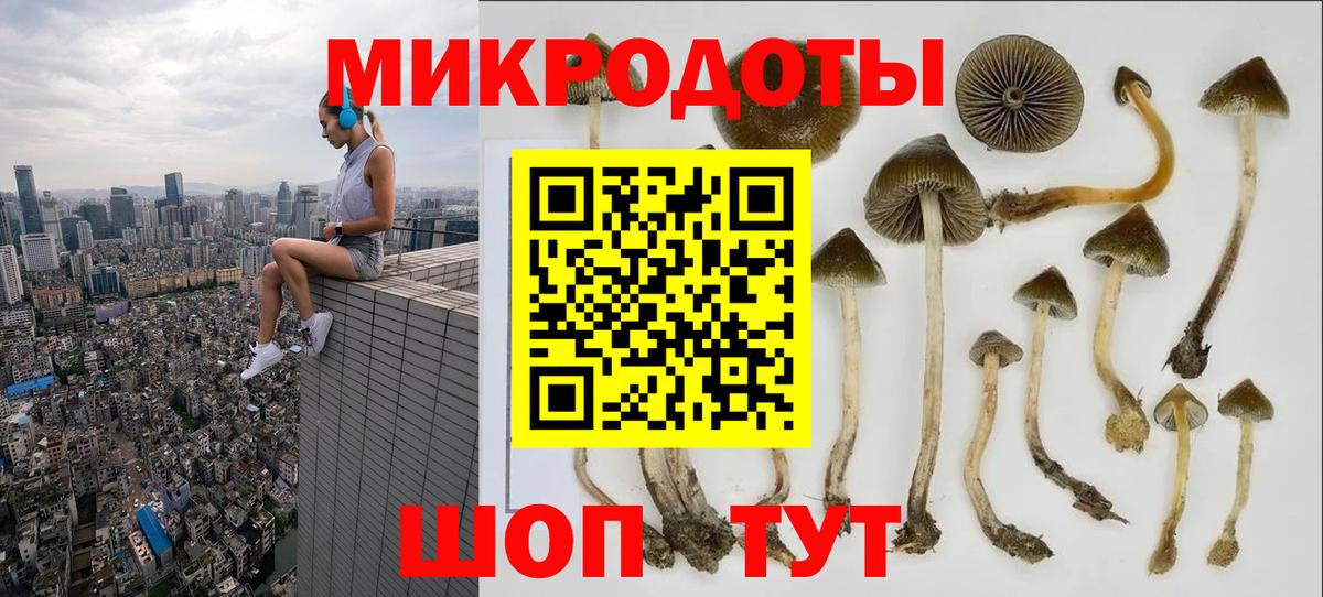 Псилоцибиновые грибы Psilocybine cubensis  Галлюциногенные грибы прущие грибы  Вход с VPN  Михайловск 