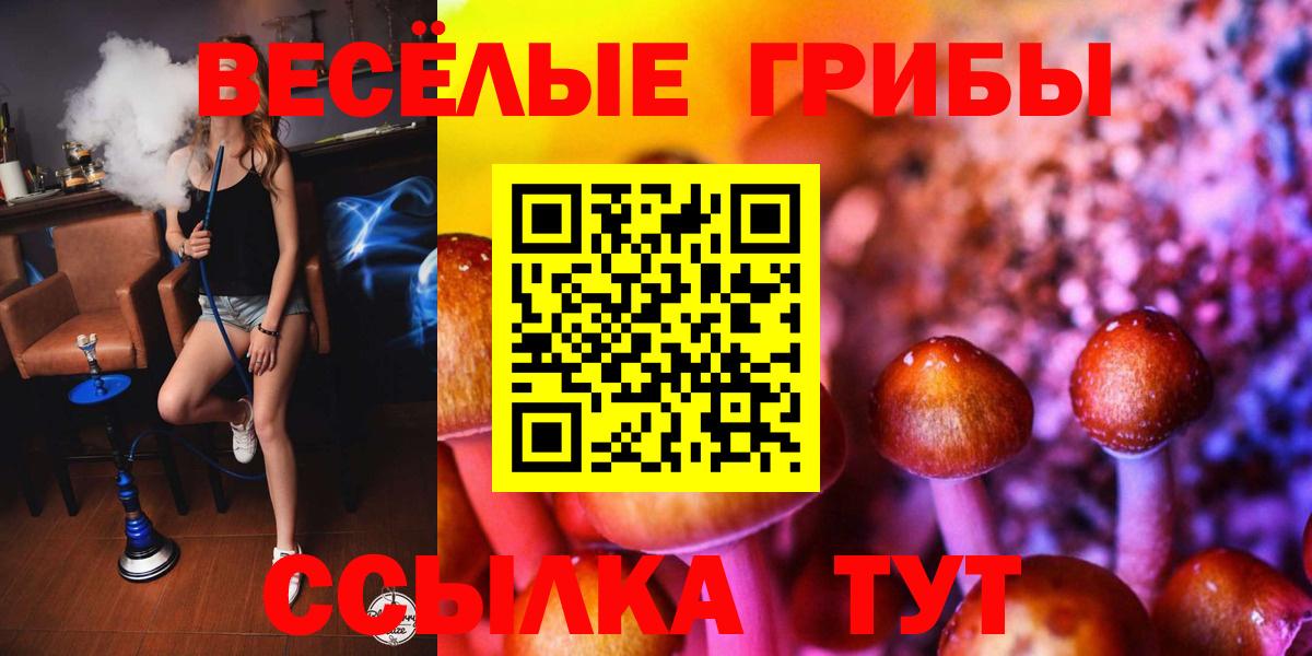 Псилоцибиновые грибы ЛСД Михайловск